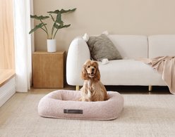 Arlee Home & Pet Bumper Box Memory Foam Orthopedic Dog Bed with Removable Cover, Petal, Medium