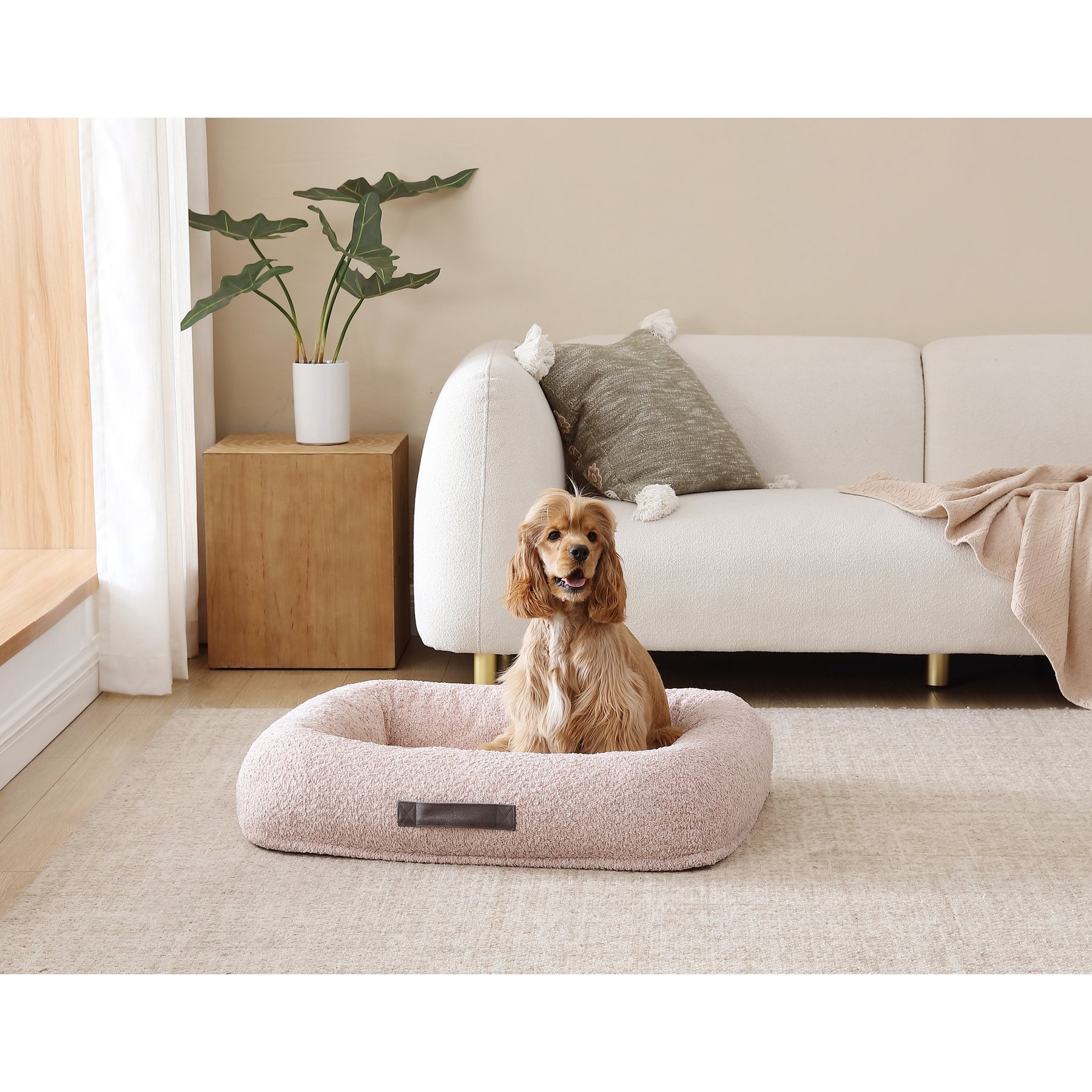 Arlee Home & Pet Bumper Box Memory Foam Orthopedic Dog Bed with Removable Cover, Petal, Medium