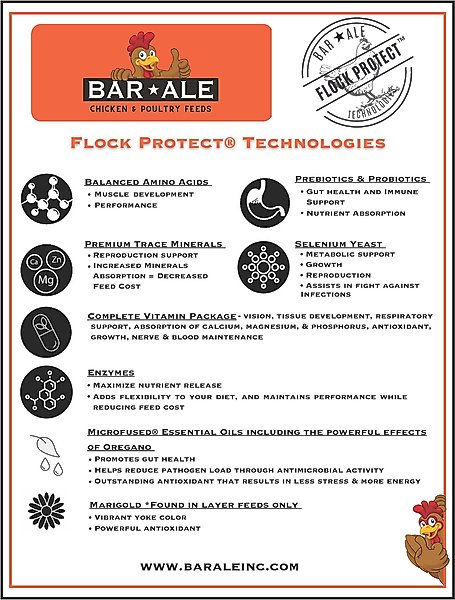 Show full view: Bar ALE 16% Protein Layer Mini-Pellet with Cracked Corn & Oyster Shell Chicken Feed, 50-lb bag slide 5 of 6