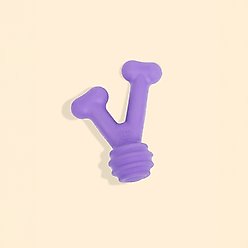 Yomp FunnyBone MAX Tough Dog Chew Toy, Beef Flavor