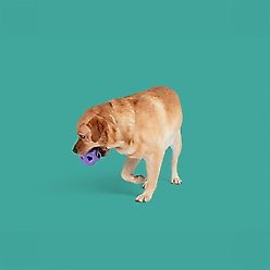 Yomp Heli Ring Max Tough Dog Chew Toy, Purple, Beef Flavor slide 2 of 4