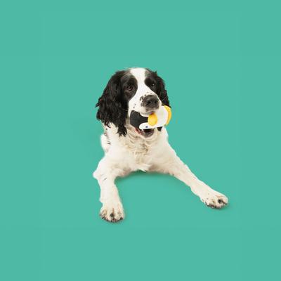 Show full view: Yomp Waddles Set Plush Dog Toy slide 5 of 6