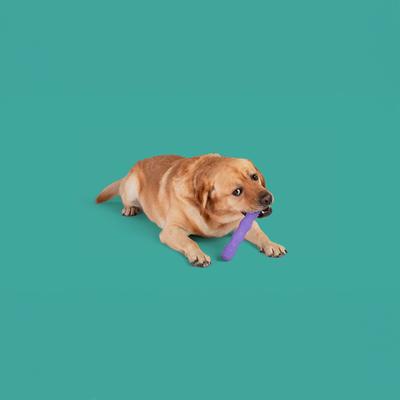 Show full view: Yomp ToothBuddy MAX Tough Dog Chew Toy, Purple, Beef Flavor slide 4 of 4