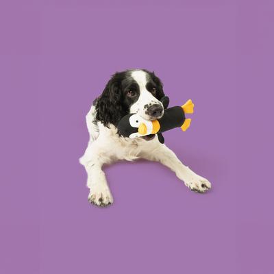 Show full view: Yomp Waddles Set Plush Dog Toy slide 4 of 6