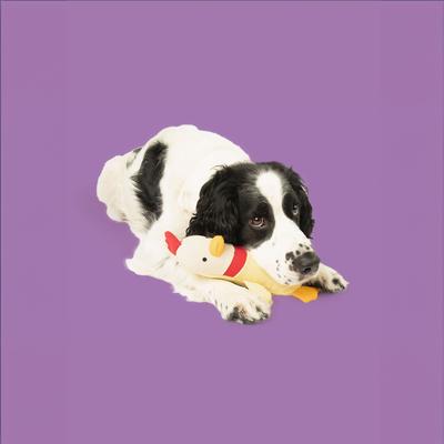 Show full view: Yomp Clucky Solo Plush Dog Toy slide 3 of 3