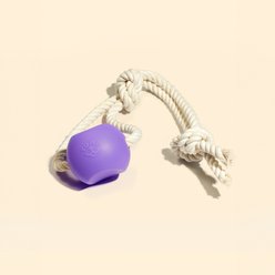 Yomp BallRope Dog Chew Toy, Purple/White