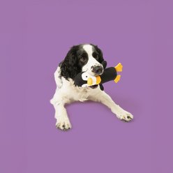 Yomp Waddles Solo Plush Dog Toy slide 2 of 3