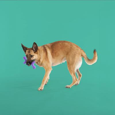 Show full view: Yomp BallBone Max Tough Dog Chew Toy, Beef Flavor slide 4 of 4