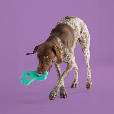 Show full view: Yomp TugPup Dog Chew Toy, Teal slide 5 of 5