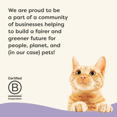 Show full view: Applaws Vitality Chicken & Seafood Variety Pack Grain-Free Pate Wet Cat Food, 2.47-oz can, case of 5 slide 5 of 8