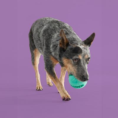 Show full view: Yomp Snackin' Ball Treat Dispensing Dog Toy slide 4 of 4