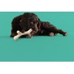 Show in main carousel: Yomp Barkin' Bone Tough Dog Chew Toy, Beige, Beef Flavor slide 4 of 4