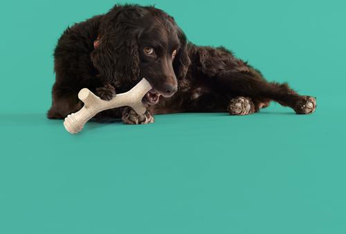 Show full view: Yomp Barkin' Bone Tough Dog Chew Toy, Beige, Beef Flavor slide 4 of 4