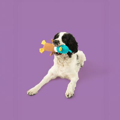 Show full view: Yomp Quackers Set Plush Dog Toy slide 4 of 5