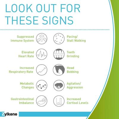 Show full view: Vetoquinol Zylkene Equine Behavior Support Apple Flavor Powder Horse Supplement 2000 mg, 20 count slide 7 of 11