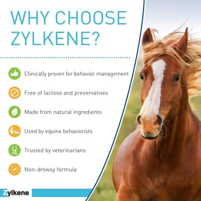 Show full view: Vetoquinol Zylkene Equine Behavior Support Apple Flavor Powder Horse Supplement 2000 mg, 20 count slide 5 of 11