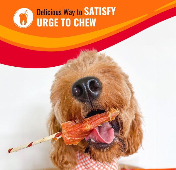 Show full view: Good 'n' Fun Rolls Beef Flavor-Basted Dog Treat Chew, Large, 2 count slide 6 of 10