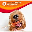 Show in main carousel: Good 'n' Fun Rolls Beef Flavor-Basted Dog Treat Chew, Large, 2 count slide 6 of 10