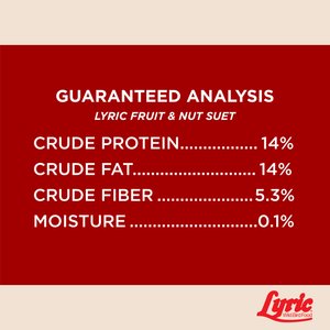 Lyric Fruit & Nut Suet Cakes Wild Bird Food, 12-oz tray, 12 count