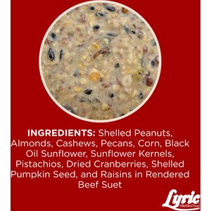 Lyric Fruit & Nut Suet Cakes Wild Bird Food, 12-oz tray, 12 count