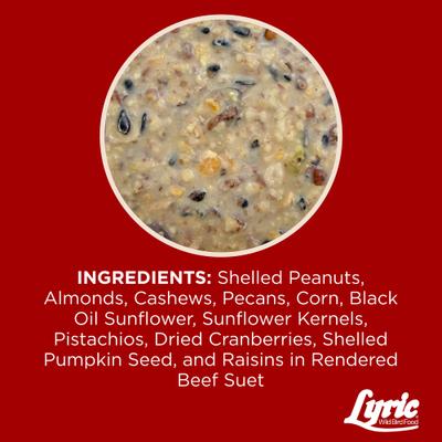 Show full view: Lyric Fruit & Nut Suet Cakes Wild Bird Food, 12-oz tray, 12 count slide 4 of 9