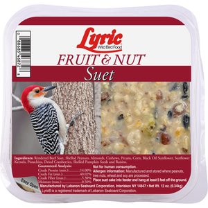 Lyric Fruit & Nut Suet Cakes Wild Bird Food, 12-oz tray, 12 count