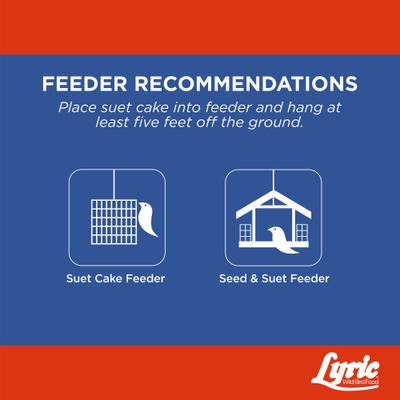 Show full view: Lyric Supreme Suet Cakes Wild Bird Food, 12-oz tray, 12 count slide 8 of 9