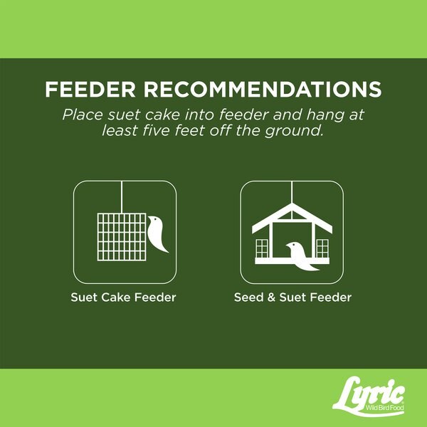 Lyric Fine Tunes No Waste Seed Suet Cakes Wild Bird Food