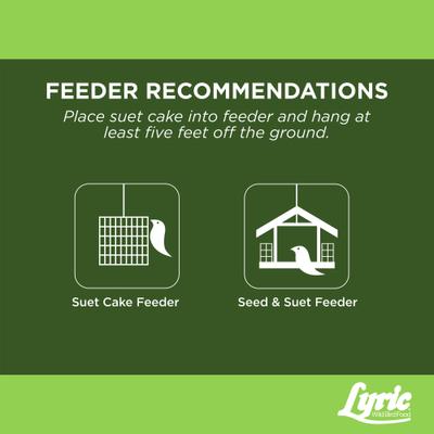 Show full view: Lyric Fine Tunes No Waste Seed Suet Cakes Wild Bird Food, 12-oz tray, 12 count slide 7 of 9
