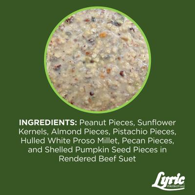 Show full view: Lyric Fine Tunes No Waste Seed Suet Cakes Wild Bird Food, 12-oz tray, 12 count slide 4 of 9