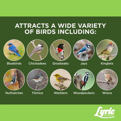 Show full view: Lyric Fine Tunes No Waste Seed Suet Cakes Wild Bird Food, 12-oz tray, 12 count slide 5 of 9