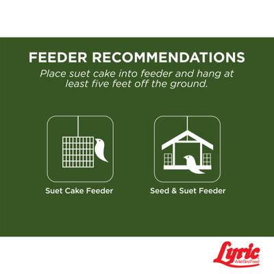 Show full view: Lyric Peanut Pieces High Energy Suet Cake Wild Bird Food, 12-oz tray, 12 count slide 7 of 9