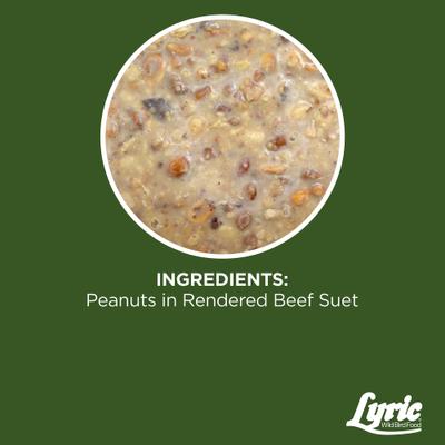 Show full view: Lyric Peanut Pieces High Energy Suet Cake Wild Bird Food, 12-oz tray, 12 count slide 4 of 9