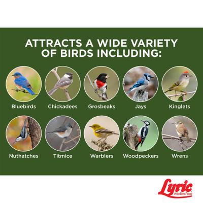 Show full view: Lyric Peanut Pieces High Energy Suet Cake Wild Bird Food, 12-oz tray, 12 count slide 5 of 9