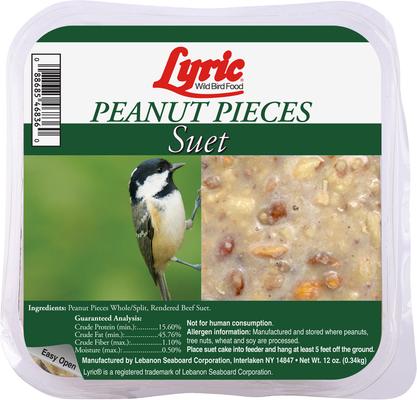 Show full view: Lyric Peanut Pieces High Energy Suet Cake Wild Bird Food, 12-oz tray, 12 count slide 2 of 9