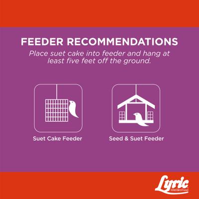 Show full view: Lyric Delite High Protein Wild Bird Seed Suet Cake Wild Bird Food, 12-oz tray, 12 count slide 7 of 8