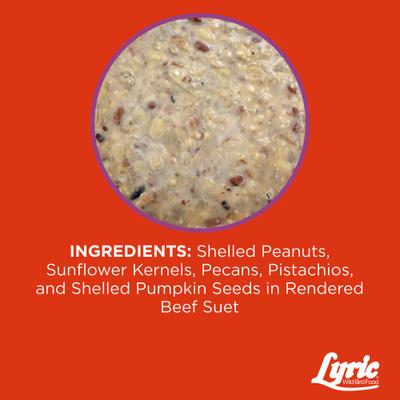 Show full view: Lyric Delite High Protein Wild Bird Seed Suet Cake Wild Bird Food, 12-oz tray, 12 count slide 4 of 8