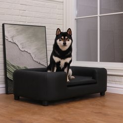 RYPetmia Modern Elevated Dog Sofa Bed, Black, Large