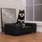 Show in main carousel: RYPetmia Modern Elevated Dog Sofa Bed, Black, Large slide 1 of 10