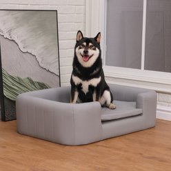 RYPetmia Modern Elevated Dog Sofa Bed, Grey, Large