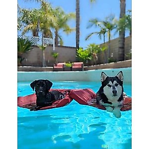 Lazy Dog Lounger Water Raft Dog Toy, Red, Large