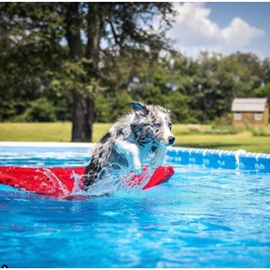 Lazy Dog Lounger Water Raft Dog Toy, Red, Large