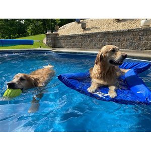 Lazy Dog Lounger Water Raft Dog Toy, Royal Blue, Large