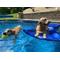 Show in main carousel: Lazy Dog Lounger Water Raft Dog Toy, Royal Blue, Large slide 5 of 9