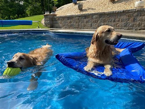 Show full view: Lazy Dog Lounger Water Raft Dog Toy, Royal Blue, Large slide 5 of 9
