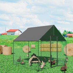 Wisfor 9-ft Walk-in Chicken Coop, Large