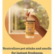 Show in main carousel: Mrs. Meyer's Pet Odor Neutralizer, Orange Blossom, 12-fl oz bottle slide 3 of 10