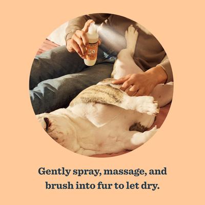 Show full view: Mrs. Meyer's Dog Deodorizing Spritz, White Peach, 8-fl oz bottle slide 5 of 11