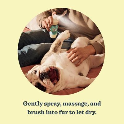 Show full view: Mrs. Meyer's Dog Deodorizing Spritz, Sweet Chamomile, 8-fl oz bottle slide 4 of 10