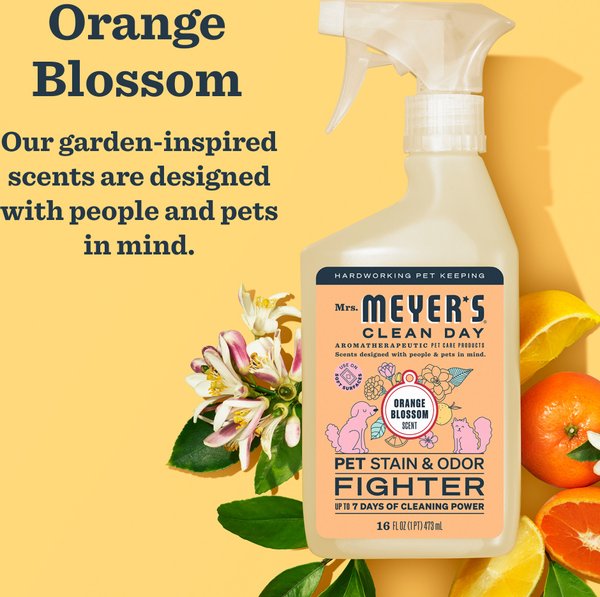 Show full view: Mrs. Meyer's Pet Stain & Odor Fighter, Orange Blossom, 16-fl oz bottle slide 5 of 10
